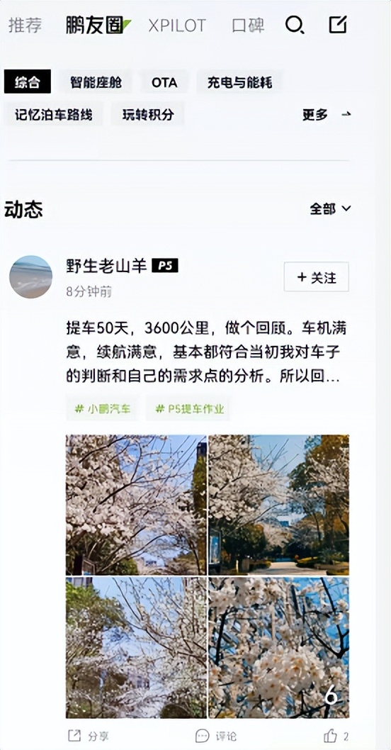 互联网汽车app哪个好(解析新能源汽车app横向对比)