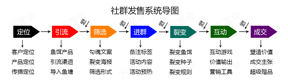 社群营销的成功案例有哪些(解析私域运营案例)