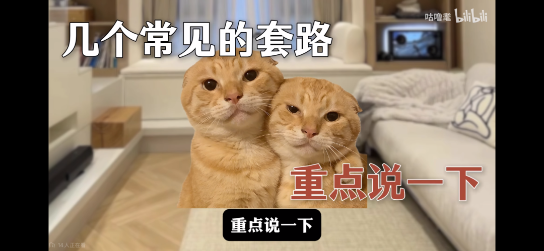 单月狂揽137万粉，B站杀出一匹“涨粉黑马”