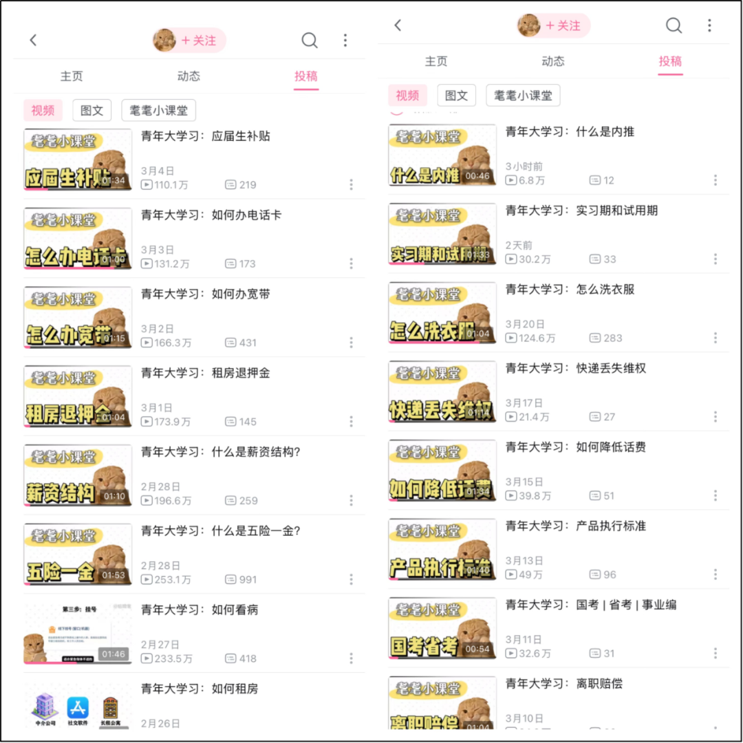 单月狂揽137万粉，B站杀出一匹“涨粉黑马”