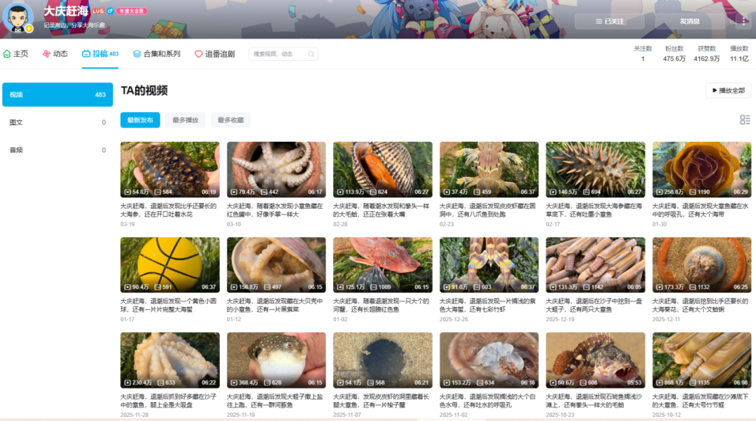 看了三年B站，推荐这两类宝藏博主