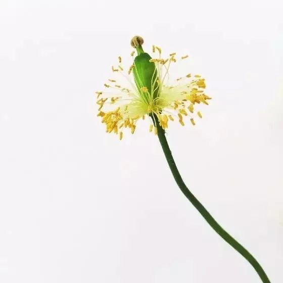 10个简单技巧，让你的照片瞬间变美！