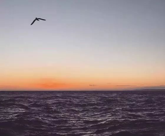 10个简单技巧，让你的照片瞬间变美！