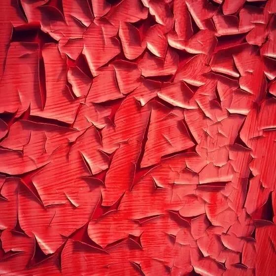 10个简单技巧，让你的照片瞬间变美！