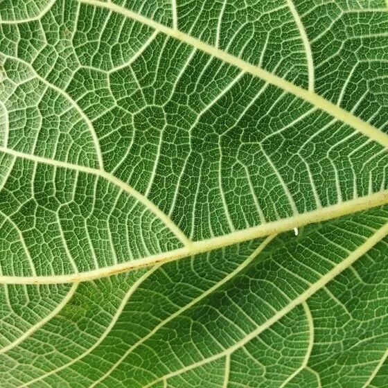 10个简单技巧，让你的照片瞬间变美！