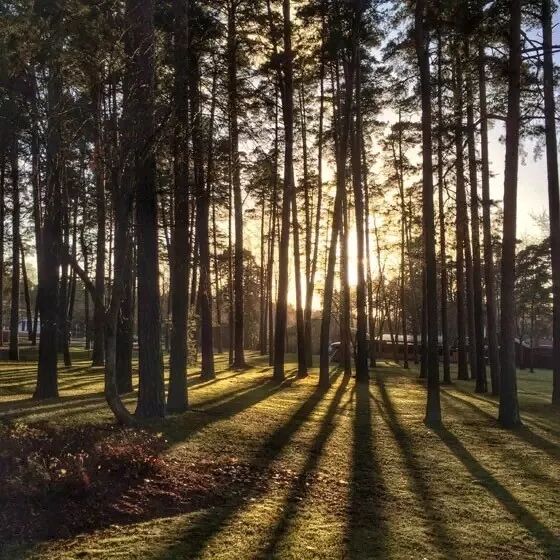 10个简单技巧，让你的照片瞬间变美！