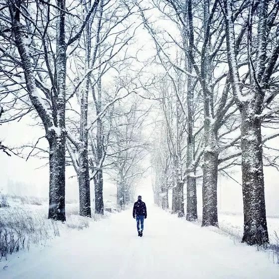 10个简单技巧，让你的照片瞬间变美！
