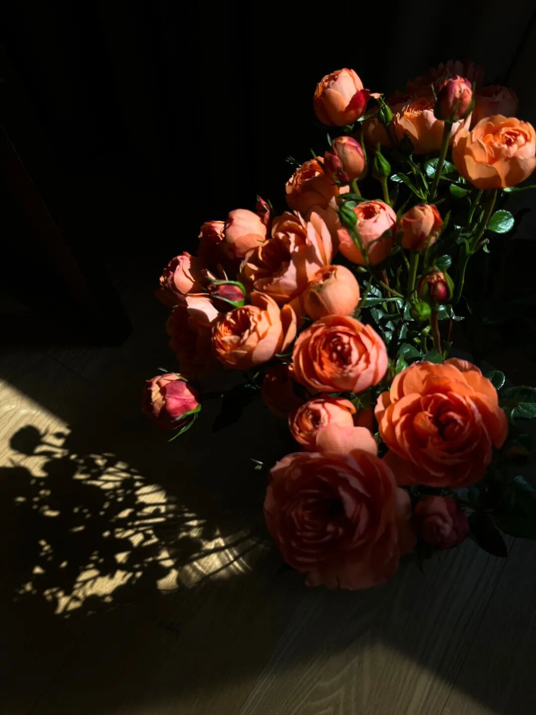 手机拍照，一定要学会这6 个小技巧