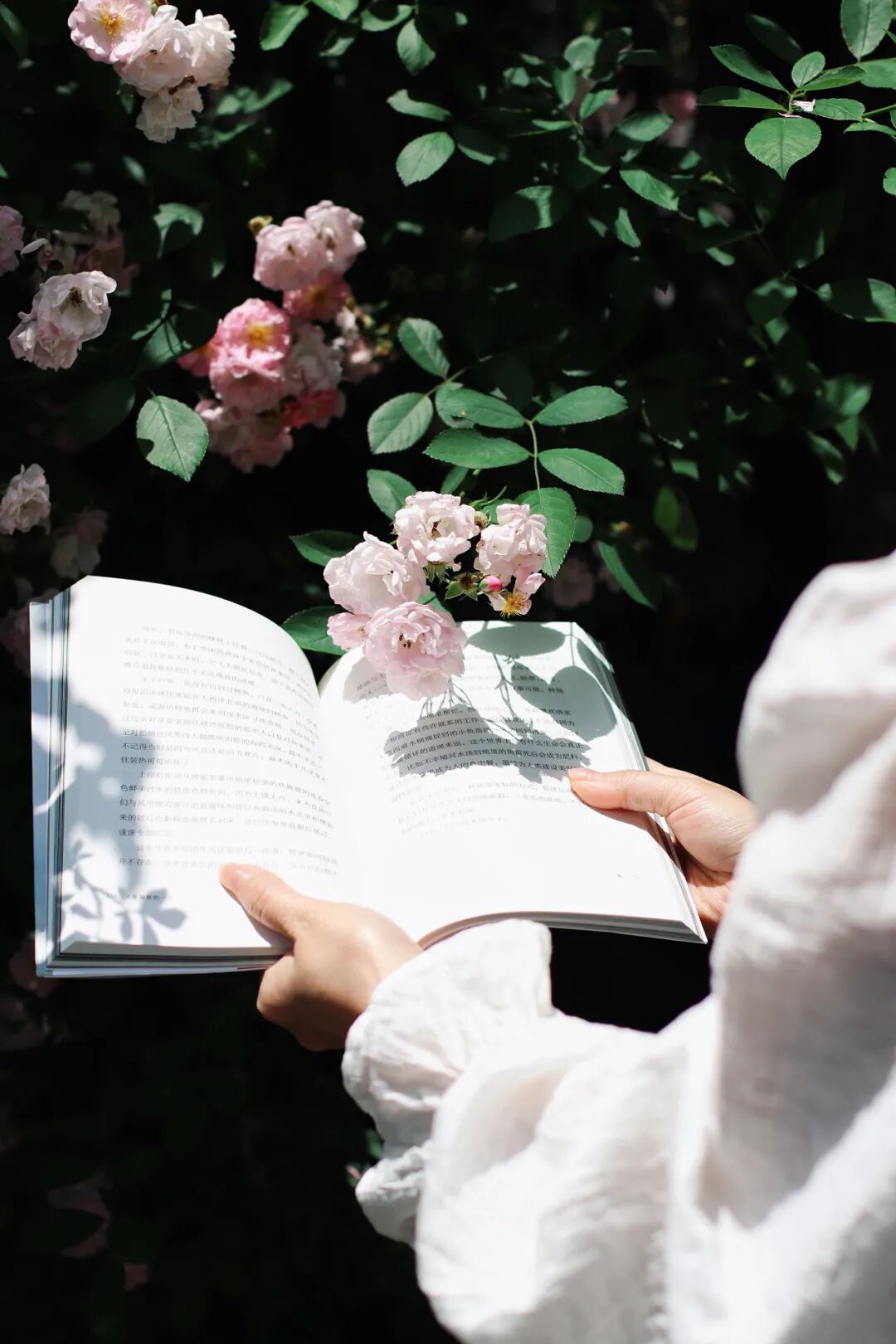 拍照不露脸，5个技巧有氛围感的把自己拍进风景里