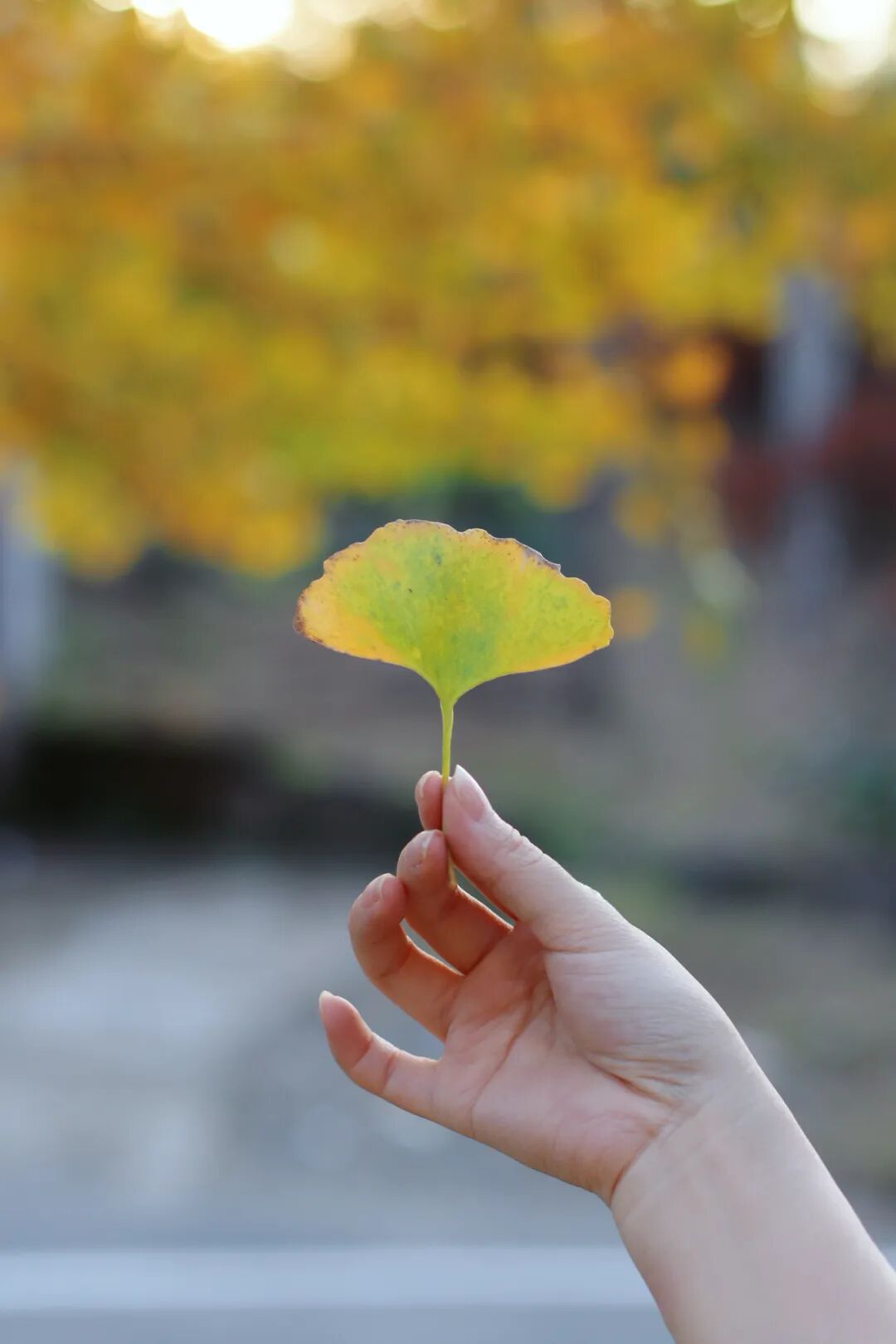 拍照不露脸，5个技巧有氛围感的把自己拍进风景里
