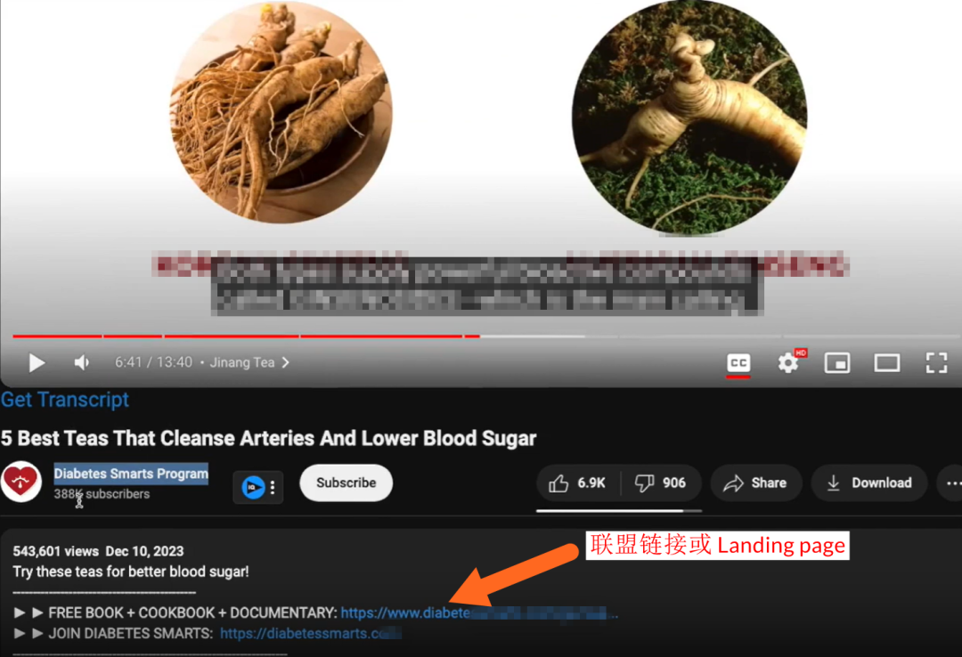 油管变现新玩法，一单佣金140美元！带工具和案例账号分析