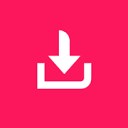 TikTok Downloader