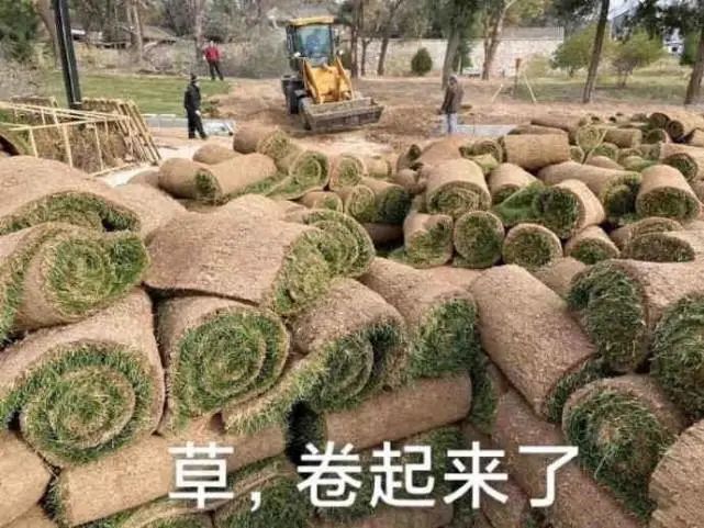 增长飞轮，害人不浅
