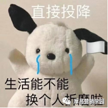 那么多人投千川，为什么就你的效果不好？