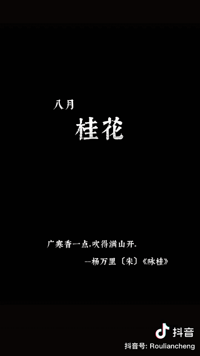 那个17条视频涨粉千万的国风少年